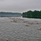 zdjęcie nr 43