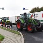 zdjęcie nr 19