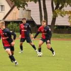 Fotka nr 3 z 15