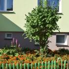zdjęcie nr 41