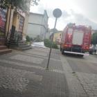 Fotka nr 2 z 10
