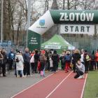 zdjęcie nr 21