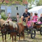 zdjęcie nr 55