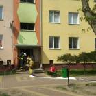 Fotka nr 3 z 17