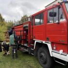 Fotka nr 2 z 3