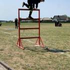 zdjęcie nr 25