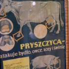 zdjęcie nr 25