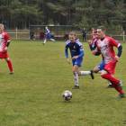 zdjęcie nr 16