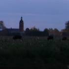Fotka nr 5 z 6