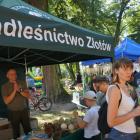 zdjęcie nr 27