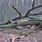 zdjęcie nr 37