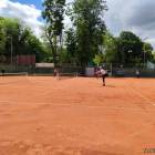 Fotka nr 4 z 46