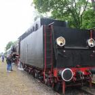 zdjęcie nr 100