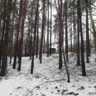 zdjęcie nr 7