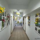 Fotka nr 4 z 10
