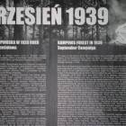 zdjęcie nr 23