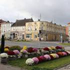 zdjęcie nr 9