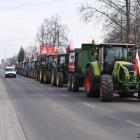 zdjęcie nr 16