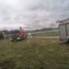 Fotka nr 5 z 11