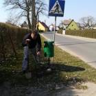 zdjęcie nr 12
