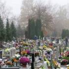 zdjęcie nr 41