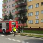 Fotka nr 2 z 17