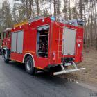 Fotka nr 5 z 8