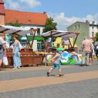 zdjęcie nr 43