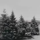 zdjęcie nr 73