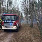 Fotka nr 3 z 15