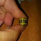 Fotka nr 2 z 3