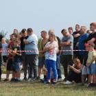 zdjęcie nr 37