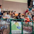 zdjęcie nr 20