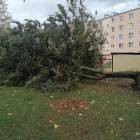 zdjęcie nr 12