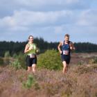 zdjęcie nr 138