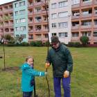 zdjęcie nr 7
