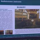 zdjęcie nr 8