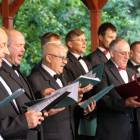 zdjęcie nr 95