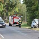 zdjęcie nr 8