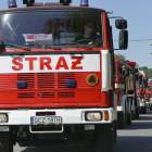 Fotka nr 4 z 88