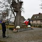 Fotka nr 2 z 20