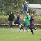Fotka nr 4 z 14
