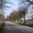 zdjęcie nr 8