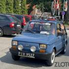 zdjęcie nr 116
