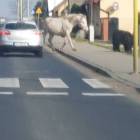 zdjęcie nr 7