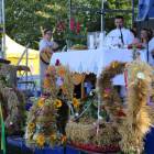 zdjęcie nr 13