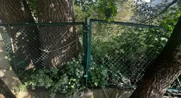 Stary płot, ciemności i dziury – tak wygląda miejski wybieg dla psów 