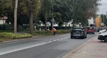 [WIDEO] Panie dbają o miejską zieleń, ale kto zadba o ich bezpieczeństwo?