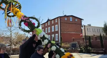 Takiej palmy nie ma nikt. Stanęła w centrum Lipki 