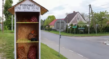 Ziemniaki jak z bankomatu. W Świętej stanął Pyromat